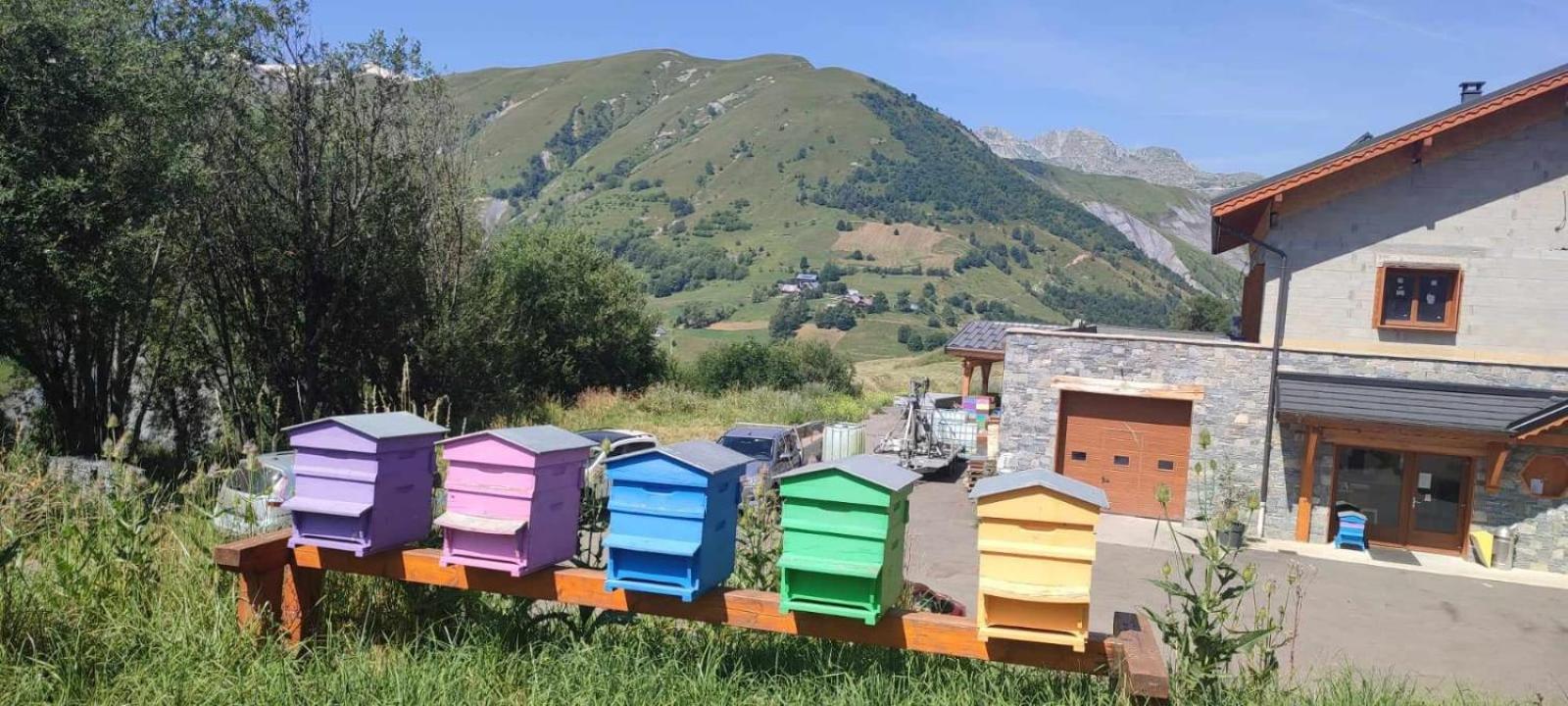 Saint-sorlin D'arves 4-6 Personnes Pied Des Pistes 350km De Pistes Tous Niveaux Appartement *