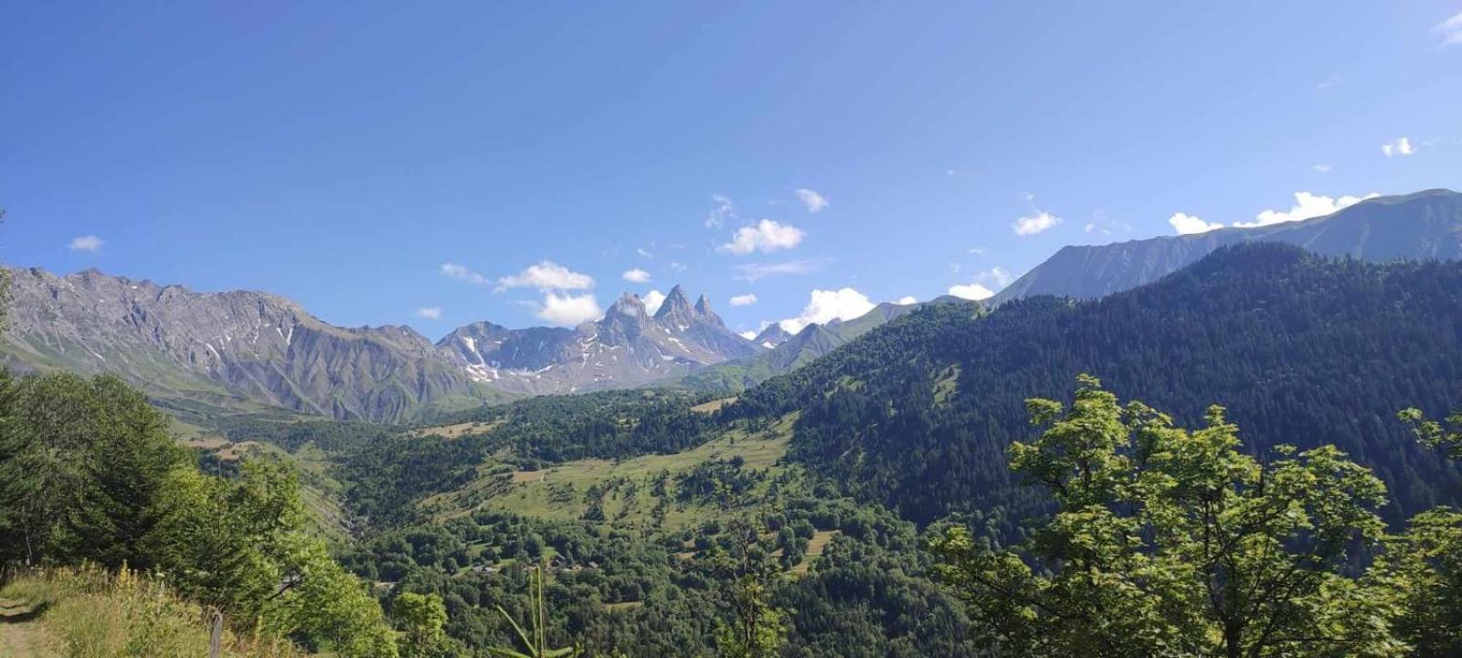 Saint-sorlin D'arves 4-6 Personnes Pied Des Pistes 350km De Pistes Tous Niveaux Appartement *